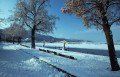 A W�rthi-t� t�len - Fot�: Gerdl