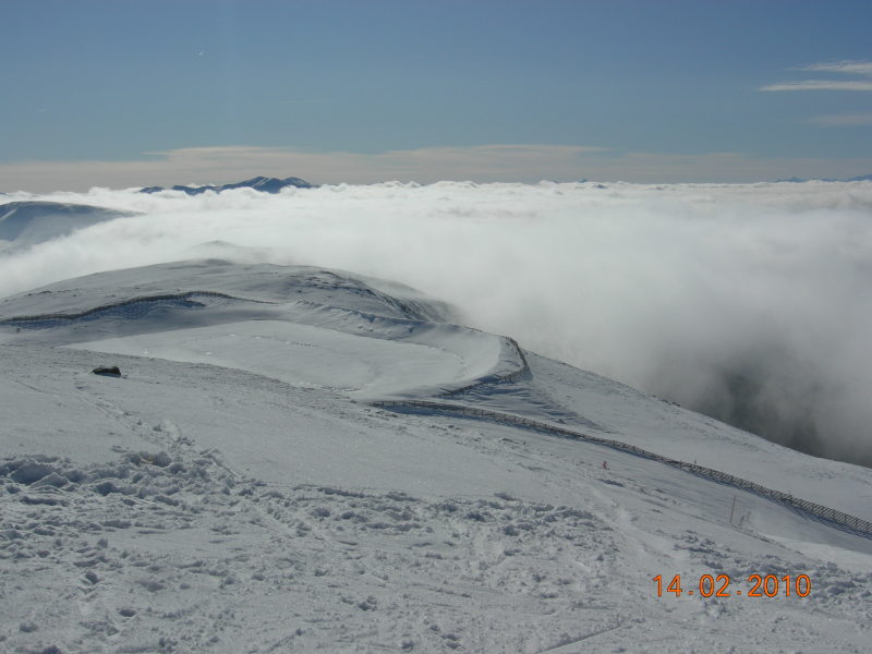 DSCN2452.jpg