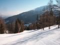 L�rchenabfahrt; b�jos kis p�lya a feny�f�k k�z�tt
