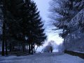 kekes_2008_nov23_004.JPG