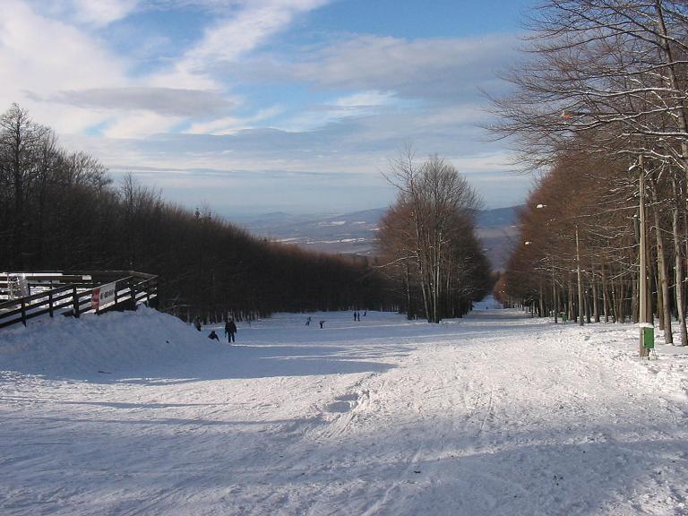 IMG-7694-1.JPG