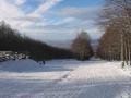 IMG-7694-1.JPG