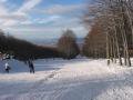 IMG-7695-1.JPG
