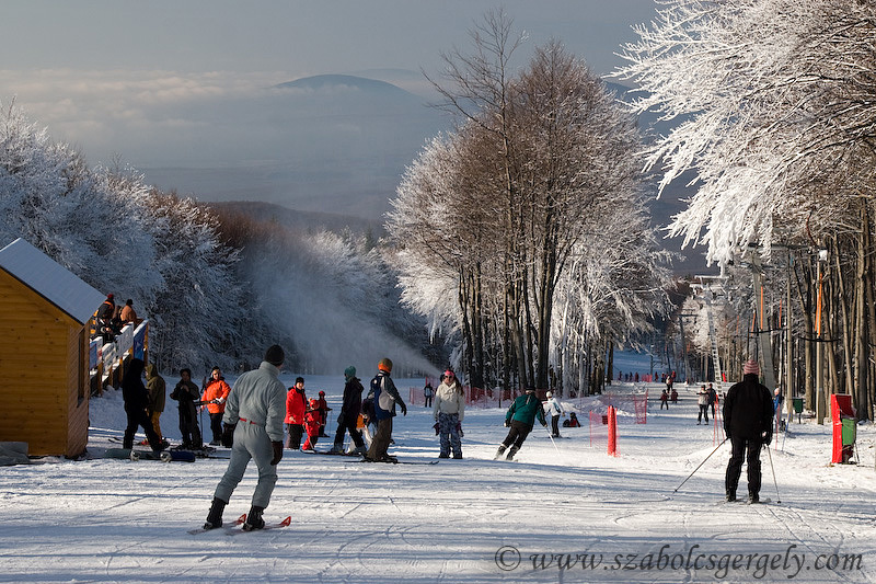 IMG-0929-copy.jpg