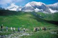 Glocknertrekk-NP-Nationalpark-Hohe-Tauern.jpg