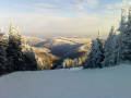 DSC00379.JPG