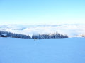 P1020190.JPG
