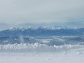 DSCF0396.jpg