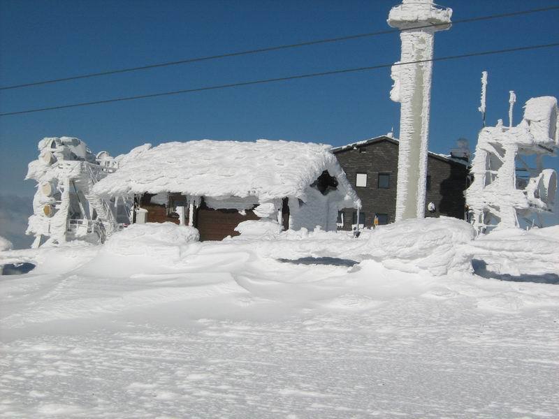 IMG-0598.JPG