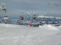 IMG-0511.JPG