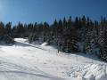 IMG-0526.JPG