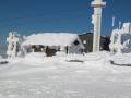 IMG-0598.JPG