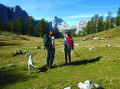 Kranjska Gora �s k�rny�ke ny�ron&nbsp;(12 k�p)