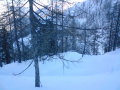 Line 4, Sz�zhavas erd�