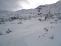 Line 4: A t�rpefenyvest m�r bef�jta a sz�l, j�l j�rhat� (2010.12.17)