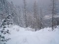 Line 4: A baloldali erd�, j� ritmusban nagyon �lvezetes (2010.12.17)