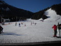 DSCN0136.JPG