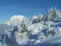 DSCF3474.JPG