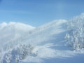 DSCF3519.JPG