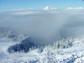 DSCF3566.JPG