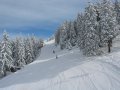 krvavec-067.JPG