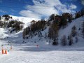 IMG-0177.JPG