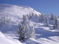 San Bernardo �s La Rosiere&nbsp;(47 k�p)