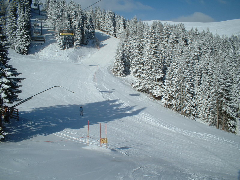 DSCF0325.JPG