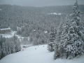 DSCF0203.JPG
