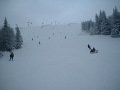 DSCF0244.JPG