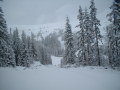 DSCF0248.JPG