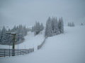 DSCF0254.JPG