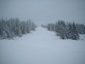 DSCF0259.JPG