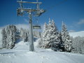 DSCF0323.JPG