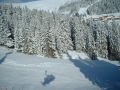 DSCF0326.JPG