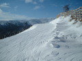 DSCF0338.JPG