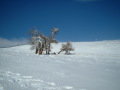 DSCF0341.JPG