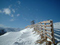 DSCF0343.JPG