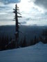 DSCF0350.JPG