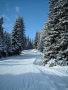 DSCF0355.JPG