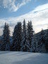 DSCF0359.JPG