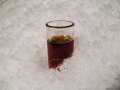 IMG-3287.jpg