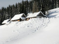 IMG-3348.jpg
