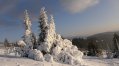 PC180122.JPG