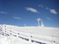 Lachtal 2009&nbsp;(8 k�p)