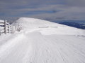 Lachtal-2010.-275.jpg