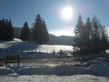 SDC11354.JPG