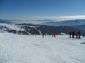 SDC11379.JPG
