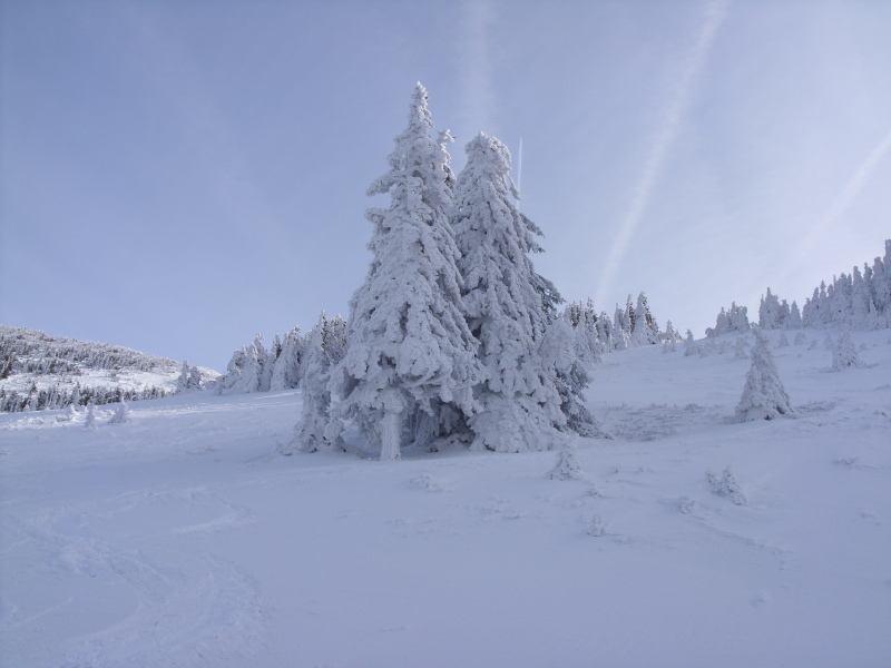 SN851813.JPG