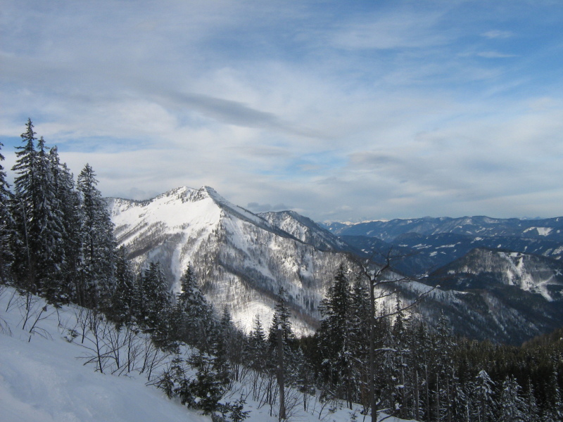IMG-6186.JPG
